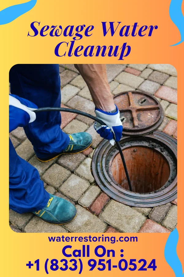 Sewage Water Cleanup in Tecumseh, NE